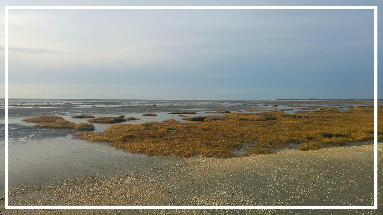 Odyssee Gite Sur Peniche Saint-Valéry-sur-Somme Exteriér fotografie