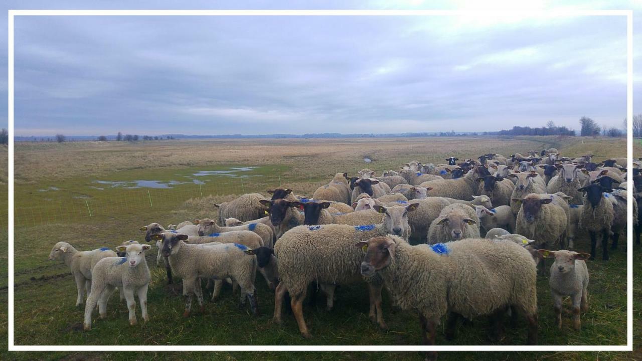 Odyssee Gite Sur Peniche Saint-Valéry-sur-Somme Exteriér fotografie